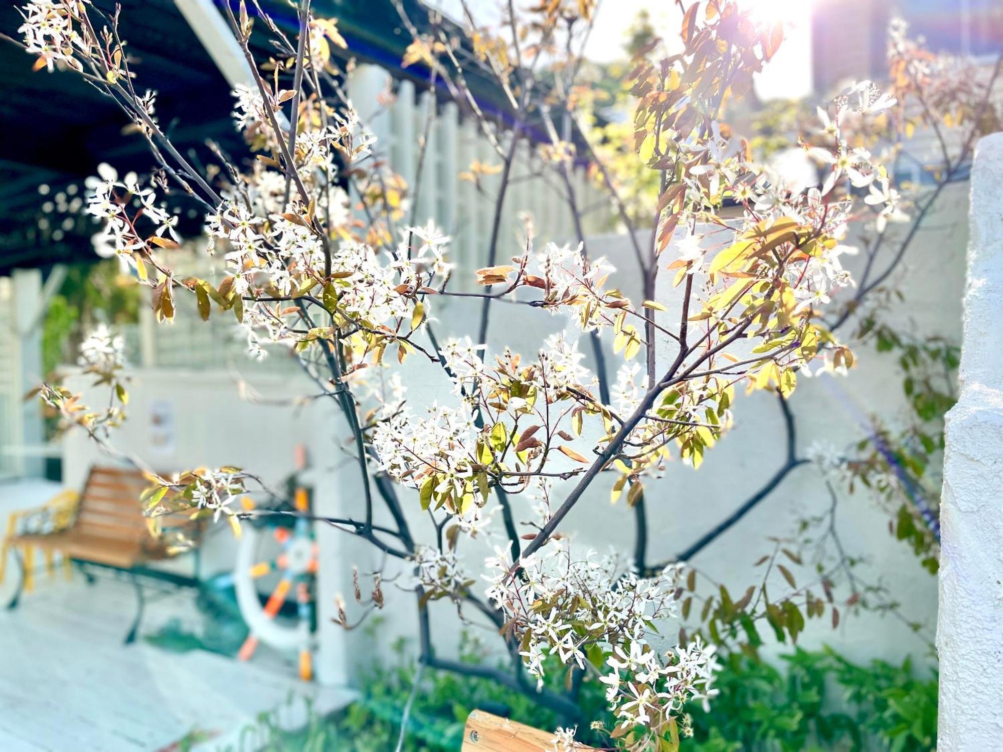 Shinsei Hotel Sakotan Kültér fotó